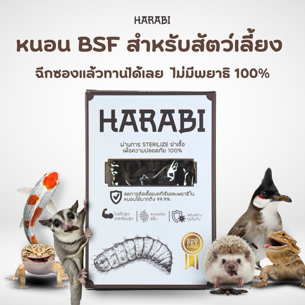 หนอนBSF Harabi  เกรดพรีเมี่ยม ปลอดเชื้อโรคไร้พยาธิ อาหารสำหรับสัตว์เล็ก Exotic pet ขนาด 50 กรัม