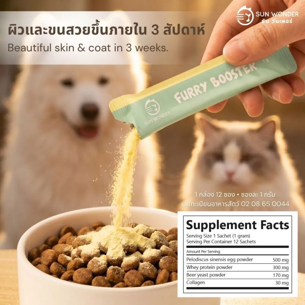 (1 กล่อง/12 ซอง) SUN WONDER FURRY BOOSTER อาหารเสริมบำรุงขนและผิวหนังสำหรับสัตว์เลี้ยง thumbnail 7