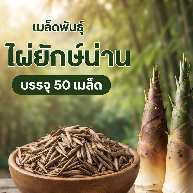 เมล็ดพันธ์ุไผ่ยักษ์ เมล็ดไผ่ ต้นไผ่ยักษ์ สายพันธ์ุแท้ บรรจุ 50 เมล็ด