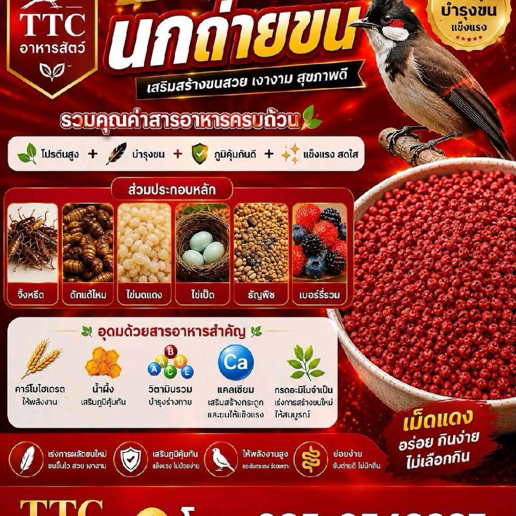 อาหารสำหรับนกถ่ายขน นกกรงหัวจุก