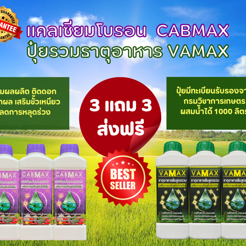 CABMAX+VAMAX แคลเซียมโบรอนเข้มข้ม แถม ปุ๋ยธาตุรวม [ชุด 3แถม3] V3+C3
