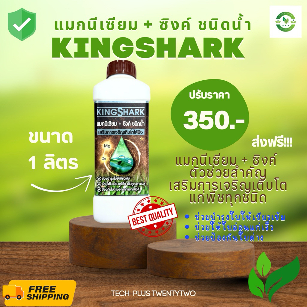 KINGSHARK (คิงชาร์ก) สินค้าใหม่ แมกนีเซียมเร่งใบเขียว 🍃 แก้ใบด่าง 🍃 พืชทนทานทุกสภาพอากาศ (Kingshark 1)