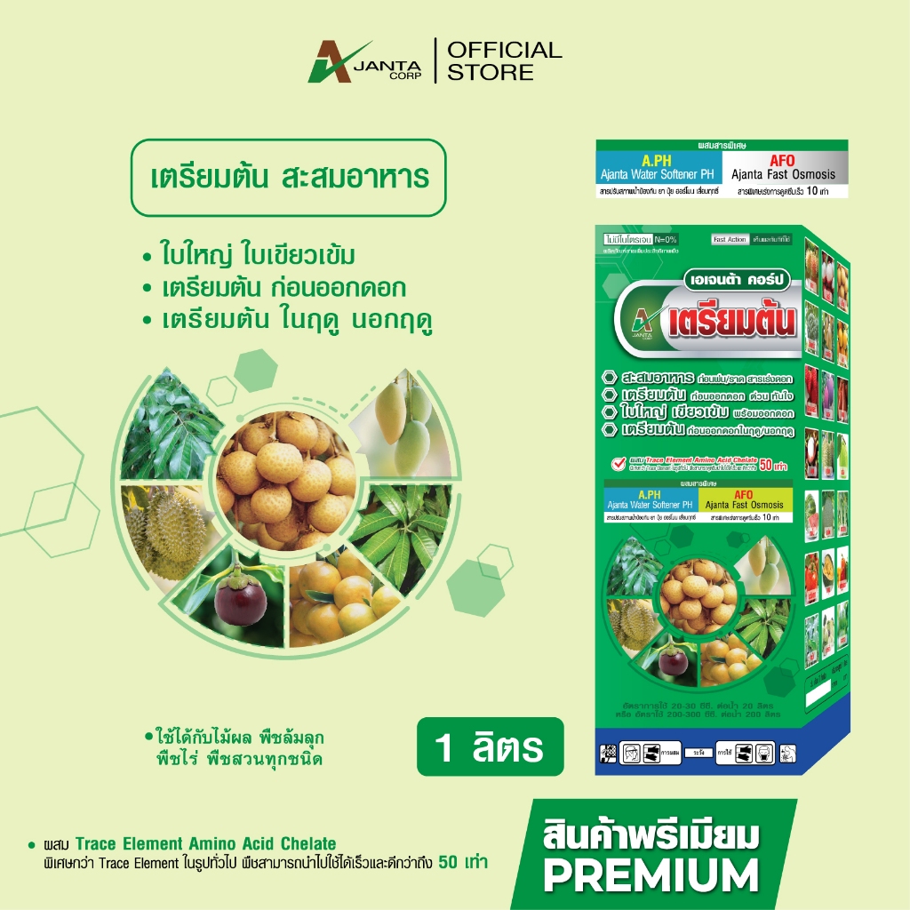 เตรียมต้น สะสมอาหาร ก่อนราดสาร ใบใหญ่ ใบเขียวเข้ม ใบเพสลาด พร้อมออกดอก เอเจนต้า คอร์ป