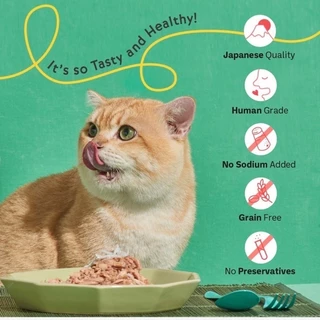 Cat's taste อาหารเปียกแมว แคทเทสต์ ไม่มีโซเดียม ดูแลสุขภาพ Japanese Quality🇯🇵 ขนาด70g*12ซอง