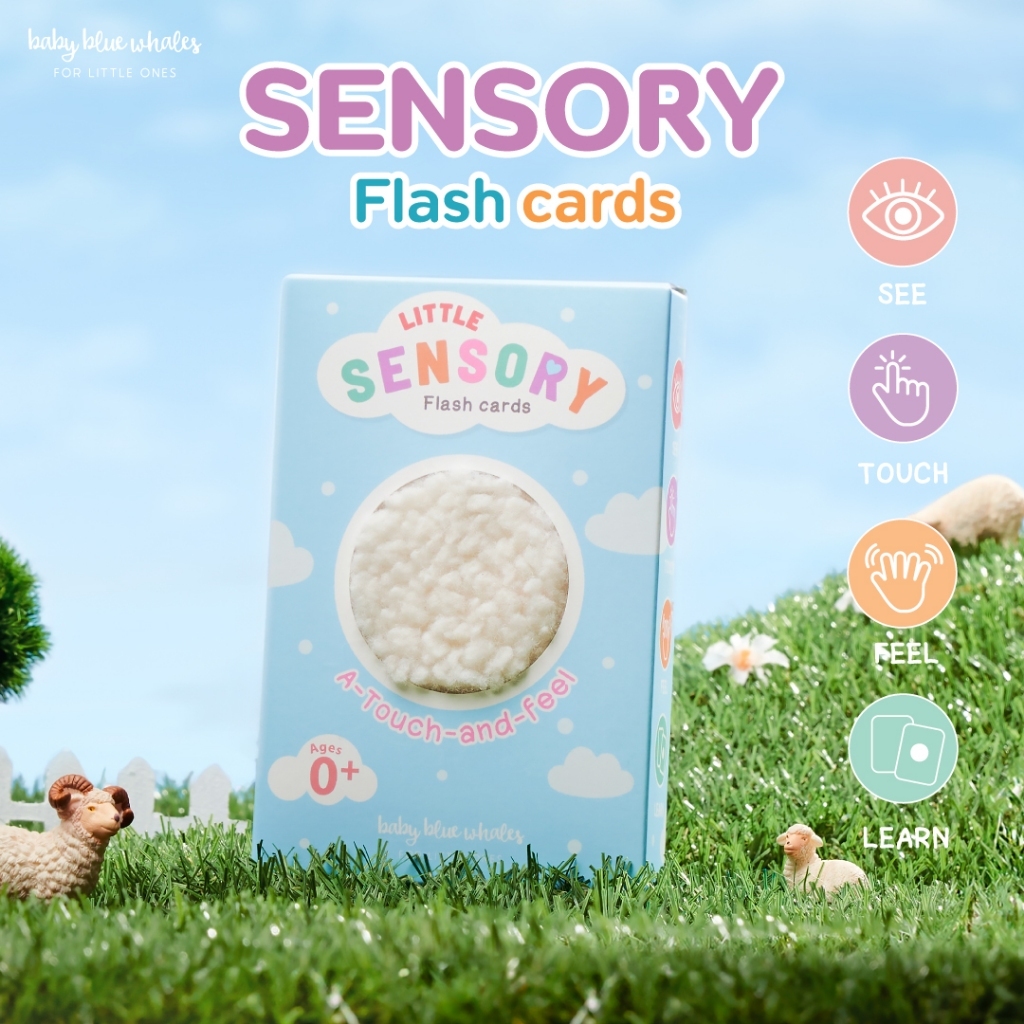 Baby Blue Whales Little Sensory Flashcards (แฟลชการ์ดขนสัตว์ กระตุ้นพัฒนาการ)