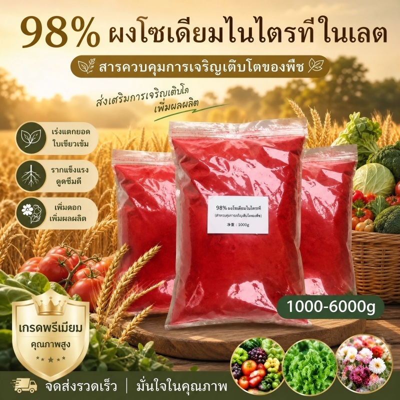 สารประกอบไนโตรเจน โซเดียมไนโตรฟีนอล ผงดั้งเดิม 98% ตัวแทนการฟื้นคืนชีพของเซลล์ ปุ๋ยการเจริญเติบโตของพืช500g