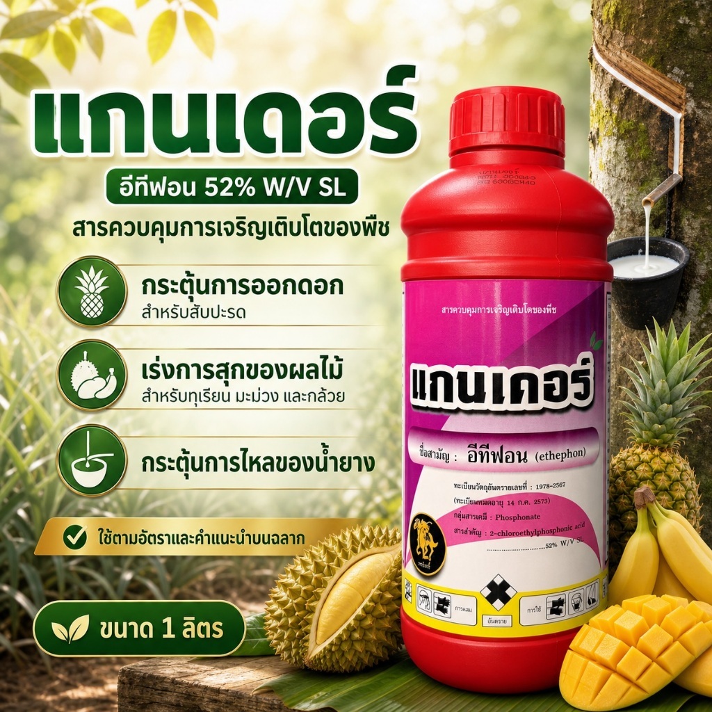 แกนเดอร์ อีทีฟอน (Ethephon) 52% W/V SL ขนาด 1 ลิตร เร่งการสุกของผลไม้ ทุเรียน มะม่วง เร่งการออกดอกสับปะรด เร่งน้ำยางพารา