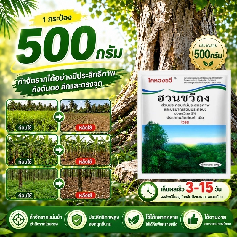 ซื้อ 3 แถม 1 รากไม้เน่ายาฆ่าต้นไม้ใหญ สร้างมาเพื่อฤดูฝน ยาฆ่าตอต้นไม้ แค่โรยเพียงเล็กน้อย กำจัดวัชพืชเปิดที่รกราง