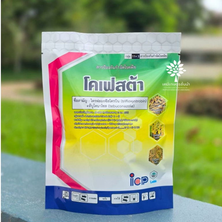 โคเฟสต้า 250 กรัม (ลัดดา) - ไตรฟลอกซีสโตรบิน 25% + ทีบูโคนาโซล 50% WG - ใช้ป้องกันกำจัดโรคเมล็ดด่างในข้าว