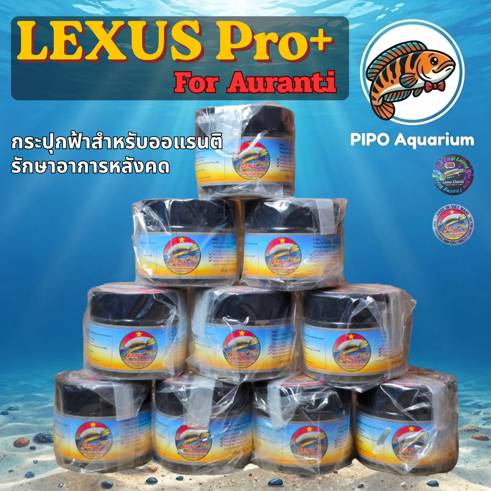อาหารปลาช่อน Lexus Pro+ For Auranti (Lexus Channa Feed) สูตรพรีเมียม เร่งสี เร่งครีบ สำหรับออแรนติ