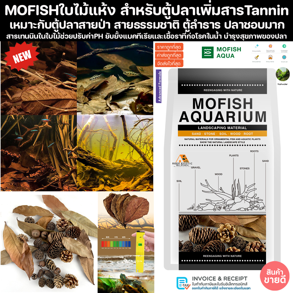 MOFISH ใบไม้ แห้ง สายตู้ลำธาร สายป่า สายตู้ธรรมชาติ ปรับPH ปลาชอบ ปลาไม่ป่วย ปลาเพิ่ม Tannin ปลา กุ้ง เต่า ใบหูกวาง Leaf