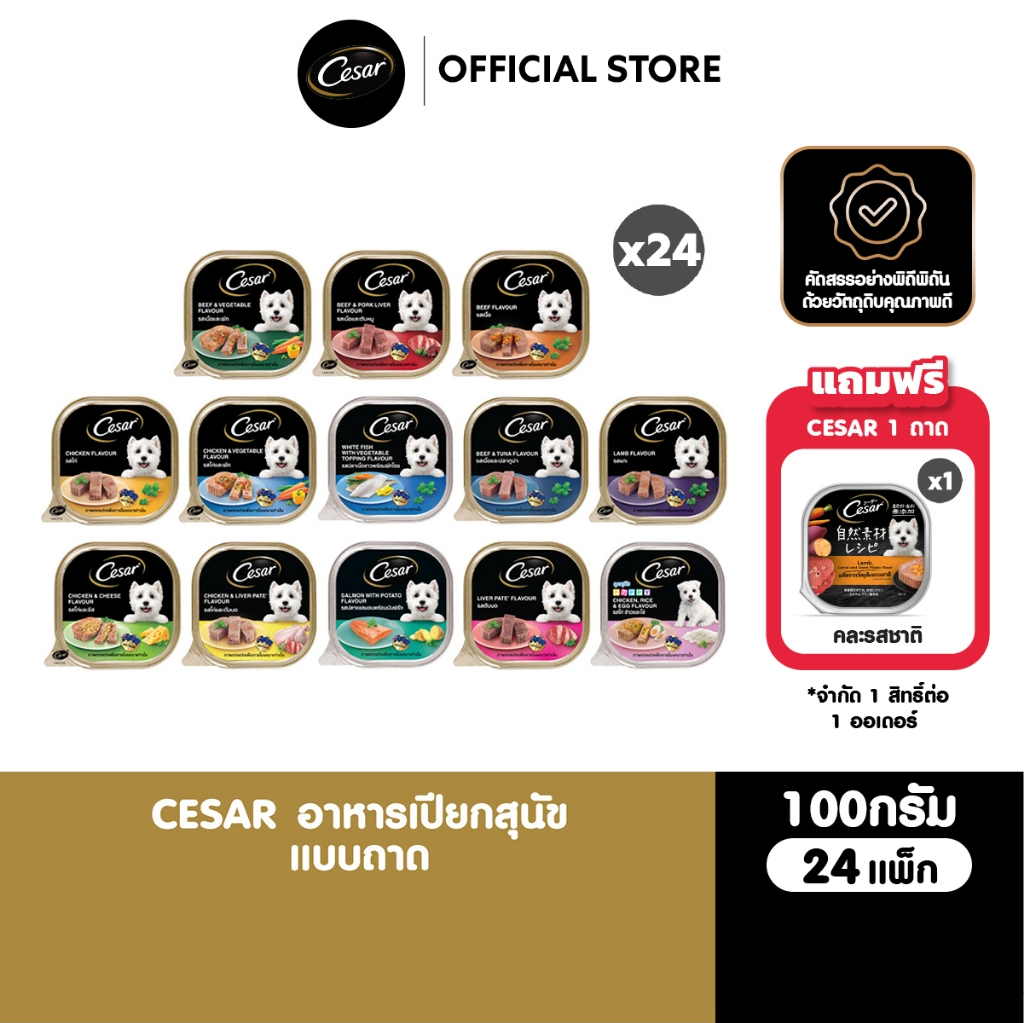 CESAR อาหารเปียกสุนัข แบบถาด ทุกรสชาติ 100 ก. (24 แพ็ก )