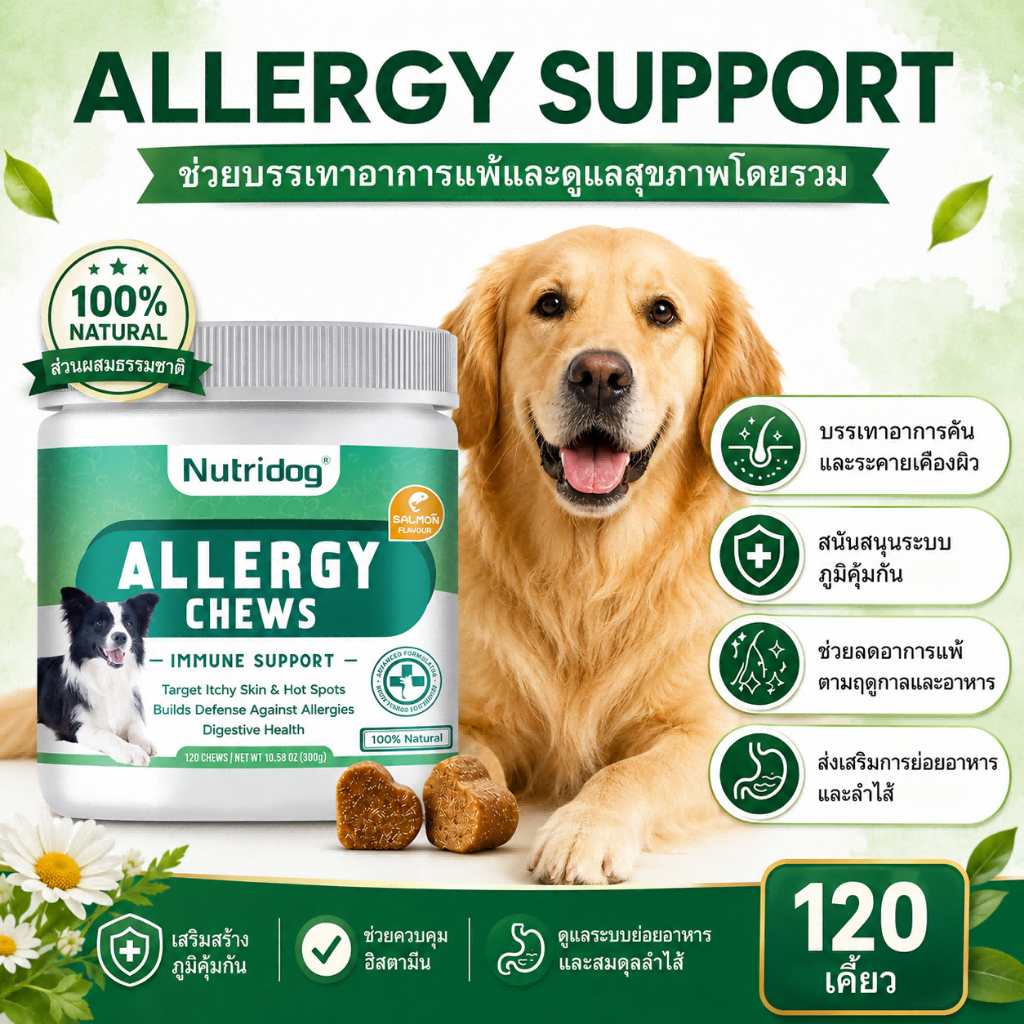 Nutridog Allergy-Friendly Soft Chews รสแซลมอน 120 เม็ด มีโอเมก้า 3 รสแซลมอน