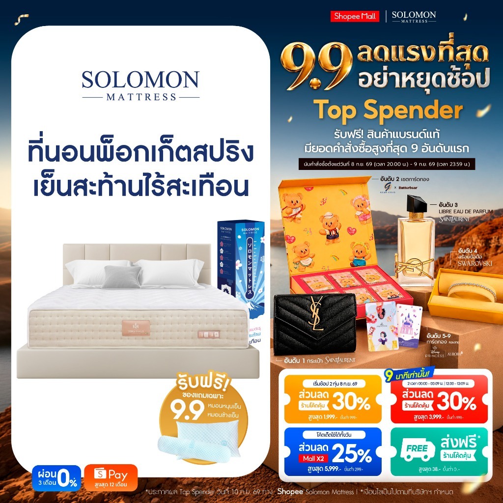 Solomon ที่นอนเย็นสะท้าน ไร้สะเทือน รุ่น Maetaru หนา 10 นิ้ว สัมผัสเย็น เหมาะกับคนขี้ร้อน