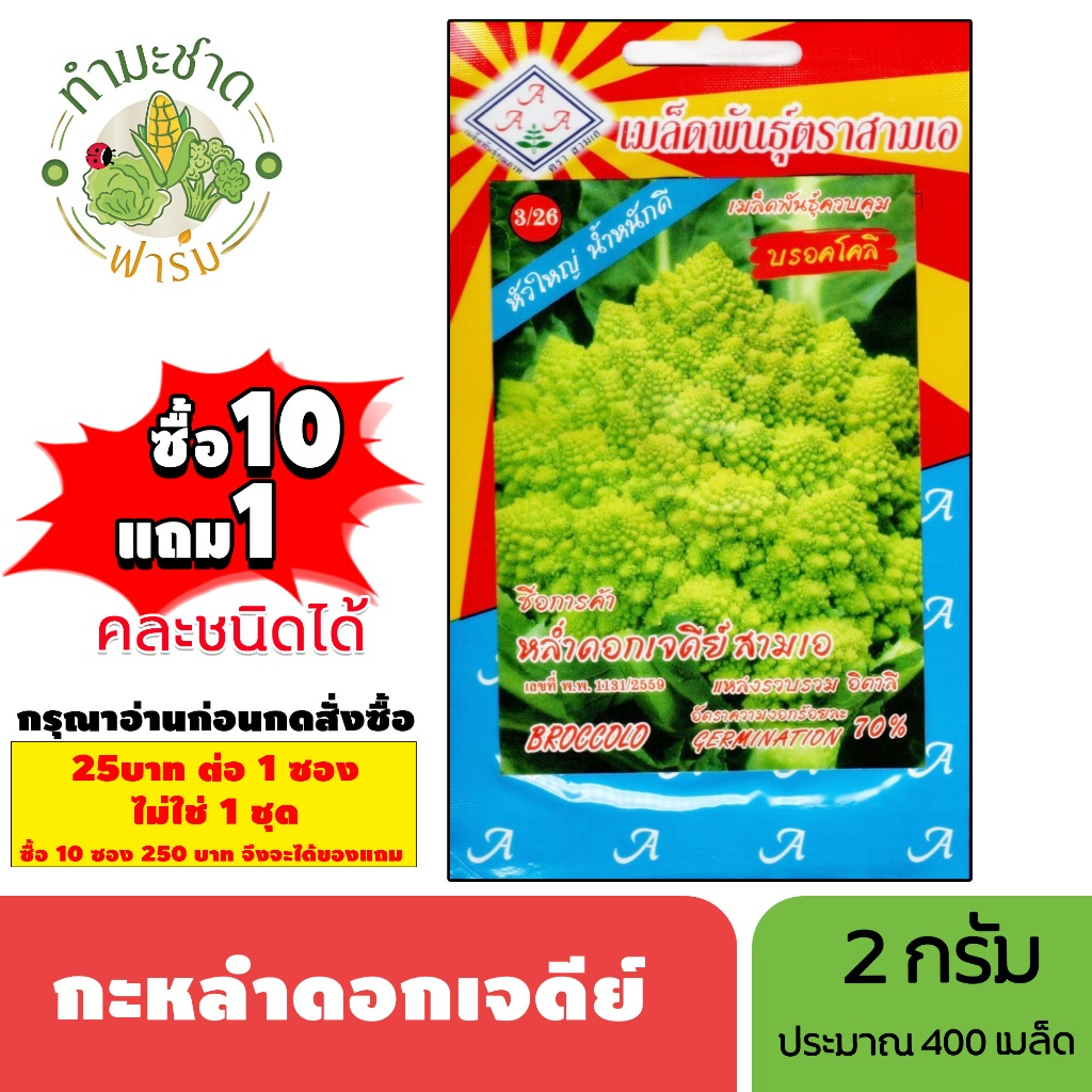 [1ซอง] 3A (ซื้อ10แถม1) เมล็ดพันธุ์ กะหล่ำดอกเจดีย์ ขนาด2กรัม ประมาณ450เมล็ด BROCCOLO กะหล่ำดอก เมล็ดพันธุ์พืช เมล็ดผัก ป