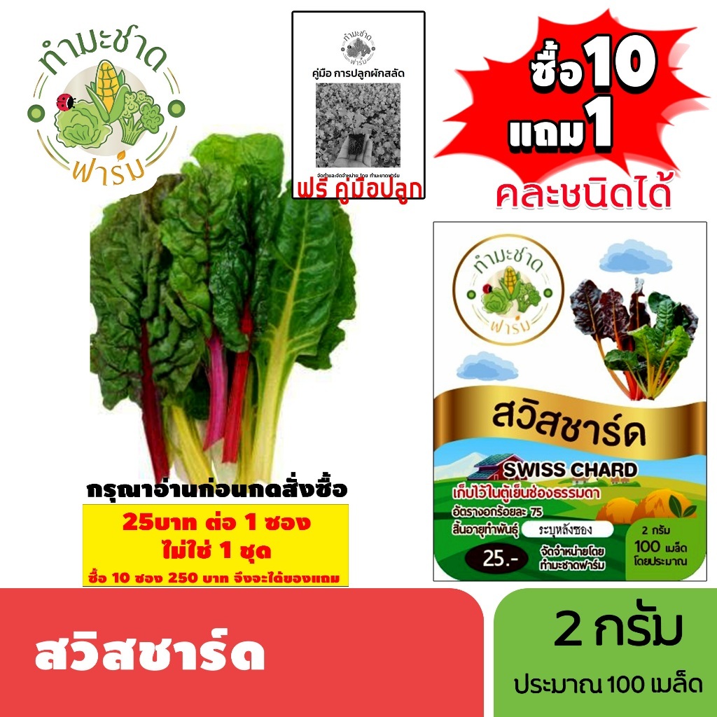 [1ซอง] ทำมะชาดฟาร์ม (ซื้อ10แถม1) เมล็ดพันธุ์ สวิสชาร์ด ขนาด2กรัม ประมาณ100เมล็ด SWISS CHARD ผักสลัด เมล็ดพันธุ์พืช เมล