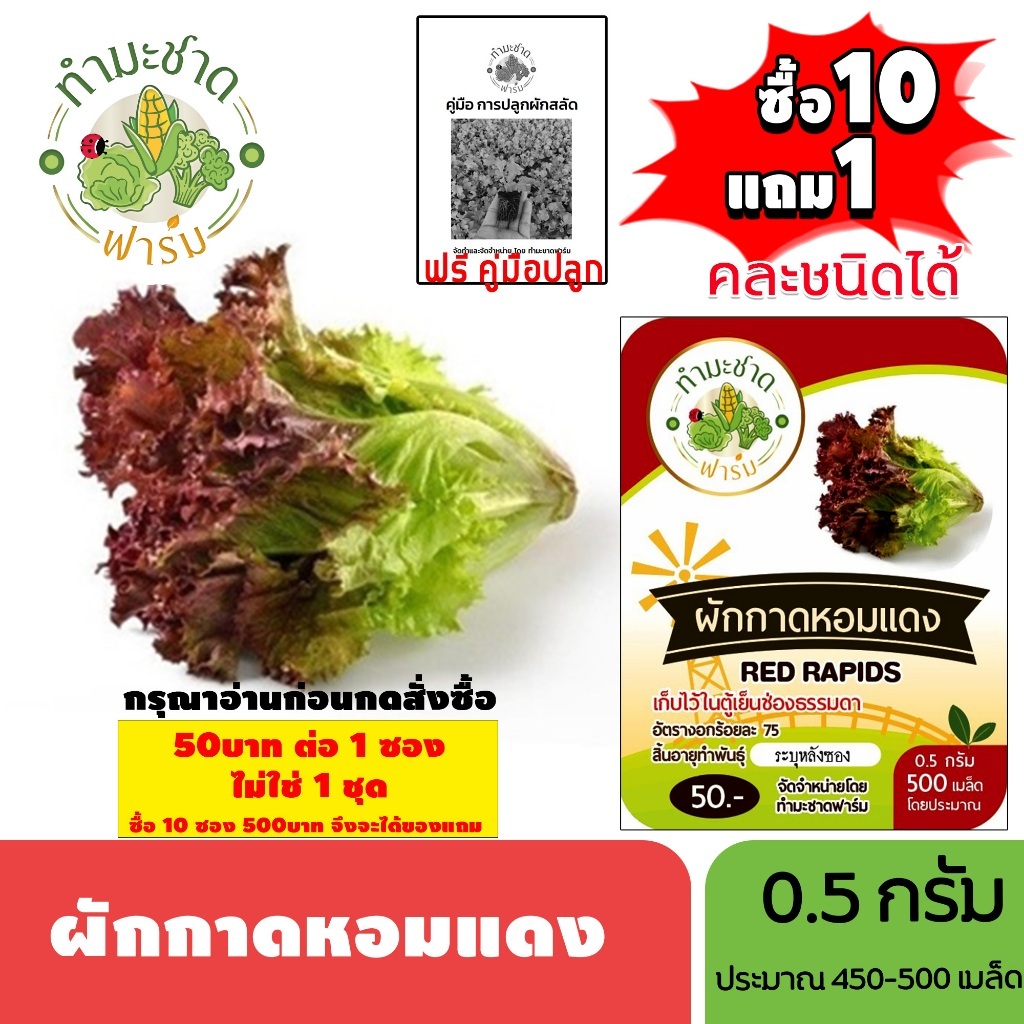 [1ซอง] ทำมะชาดฟาร์ม (ซื้อ10แถม1) เมล็ดพันธุ์ ผักกาดหอมแดง   ขนาด0.5กรัม ประมาณ500เมล็ด RED RAPIDS ผักกาดหอม ผักสลัด เมล็