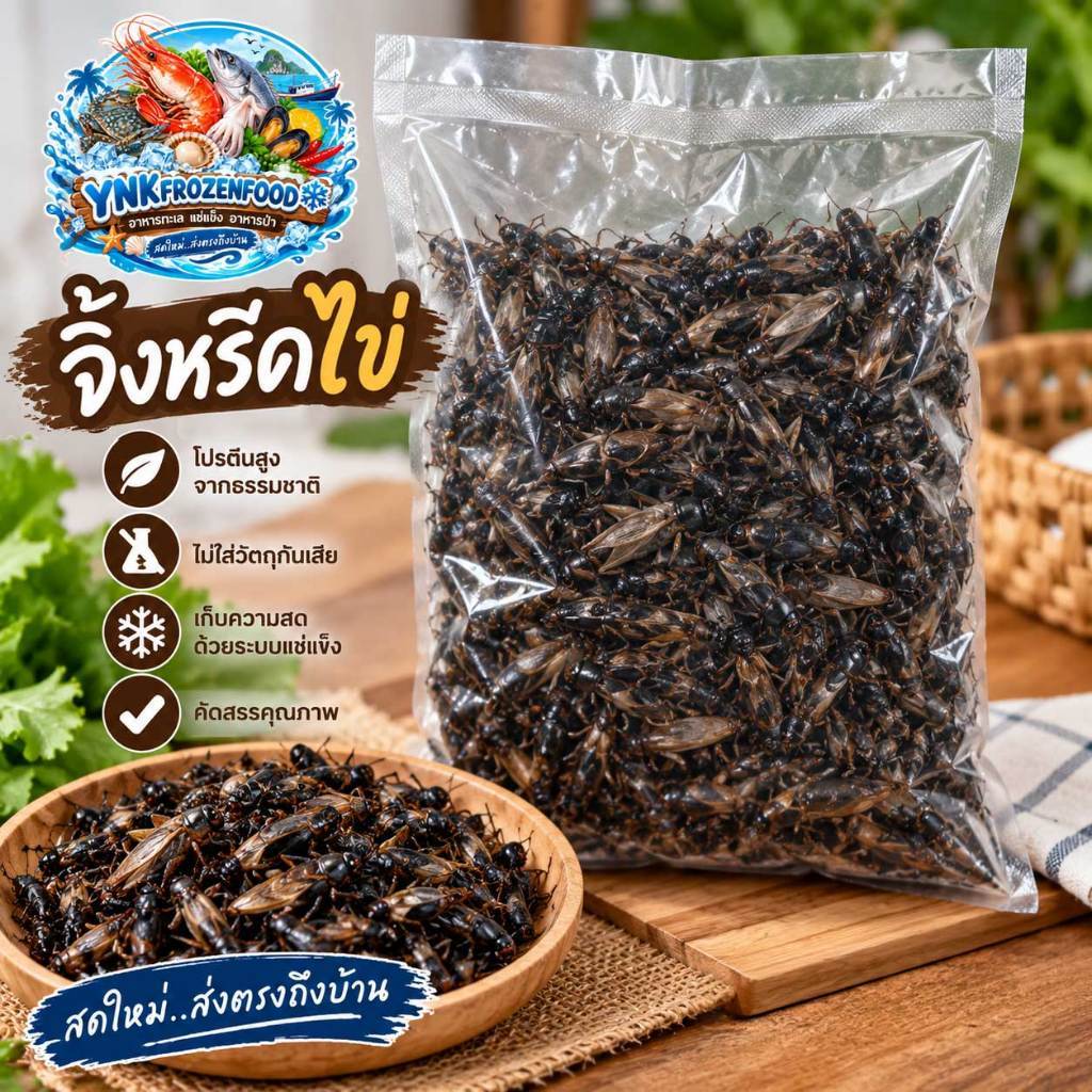 จิ้งหรีดไข่แช่แข็ง 500 กรัม อาหารป่า สดใหม่ คัดคุณภาพ | ส่งแพ็คเย็น YNK FROZEN FOOD