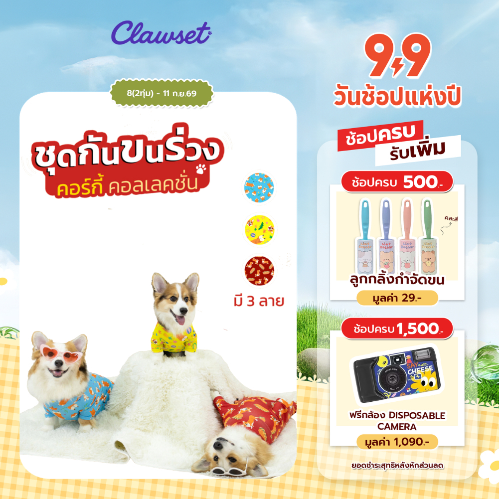 ชุดกันขนร่วง ชุดเก็บขน สำหรับ Corgi กันขนร่วงคอร์กี้ | CLAWSET.BKK