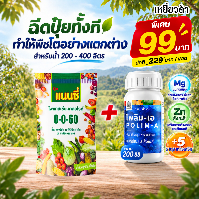 ปุ๋ยเกล็ด แนนซี่ 0-0-60 ปุ๋ยหวาน เพิ่มน้ำหนัก ขยายขนาดผล เร่งลงหัว เพิ่มแป้งและน้ำตาล ขนาด 1 กก.