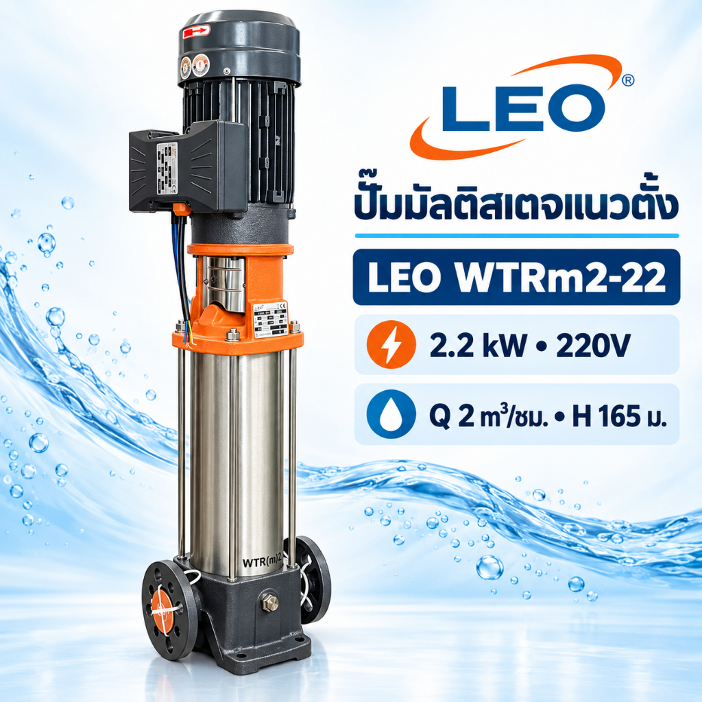 ปั๊มน้ำมัลติสเตจแนวตั้ง LEO WTRm2-22 22 ใบพัด 2.2kW 220V Q 2 คิว ส่งสูง 165 ม.