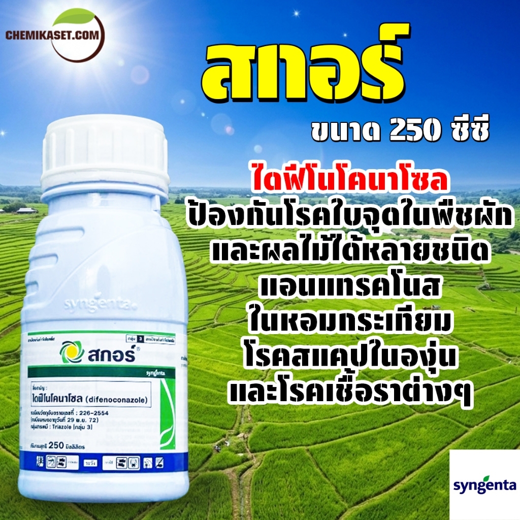 สกอร์ 250 อีซี (ไดฟีโนโคนาโซล 25% EC) ขนาด 250 ซีซี สารป้องกันกำจัดโรคพืชที่เกิดจากเชื้อรา