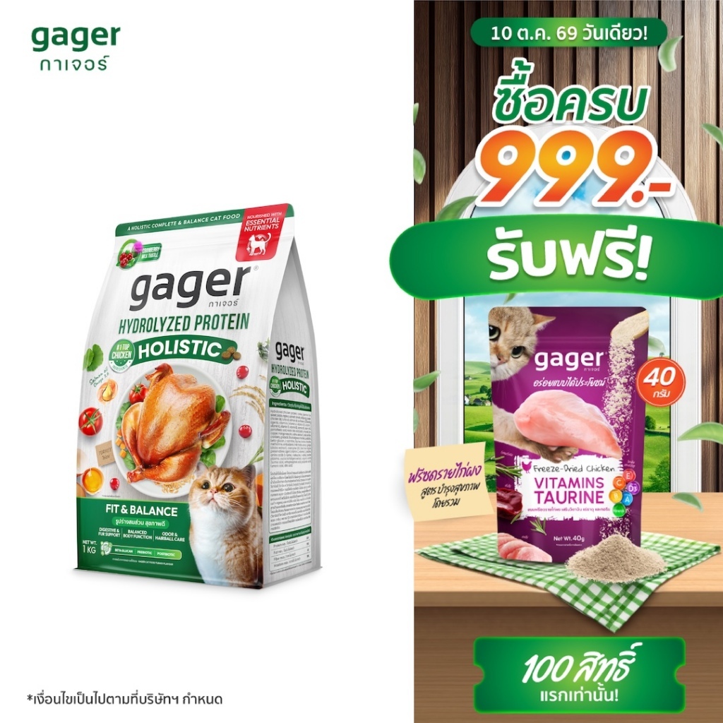 Gager طعام قطط هوليستيك بالديك الرومي