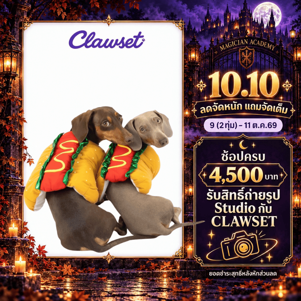 Clawset زي هوت دوغ للكلاب والقطط — صورة 2