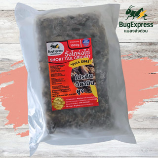 จิ้งโกร่งไข่แช่แข็ง 1000 กรัม (จิ้งโกร่งเลี้ยง) ยี่ห้อแมลงส่…