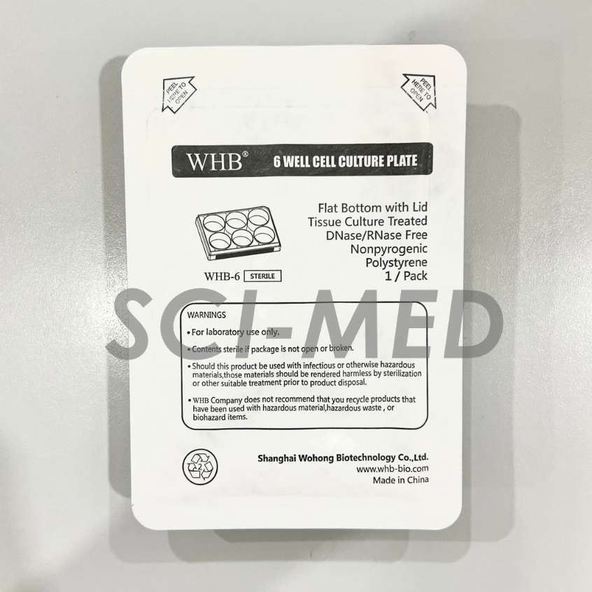 6 well plate (Cell Culture Plate) 6 หลุม