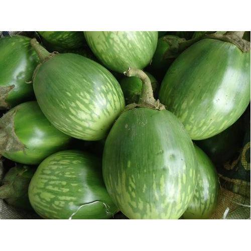 Thai Eggplant Seeds Vegetable Seeds 200PCS/PACK Thai Eggplant Seeds- Bonsai Dwarf Eggplant Seeds Veg