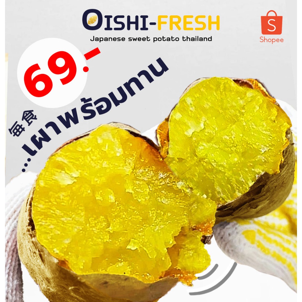 Oishi-Fresh มันหวานญี่ปุ่น ปลูกไทย  คุริโคกาเนะ เผาพร้อมทาน 500 ก.เนื้อเหลืองครีม หอม หวานออร์แกนิค จัดส่ง 24 ชม.