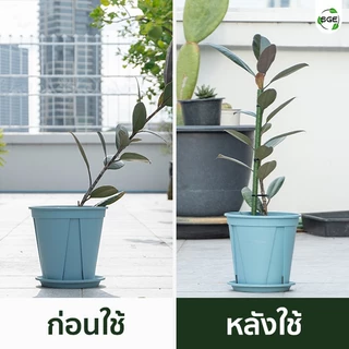 SGE ข้อต่อไม้ค้ำยันต้นไม้ 90 องศา รุ่น GSP-C ประกอบง่าย ใช้ประกอบทำซุ้ม โครงค้ำยันต้นไม้ 5 ชิ้น