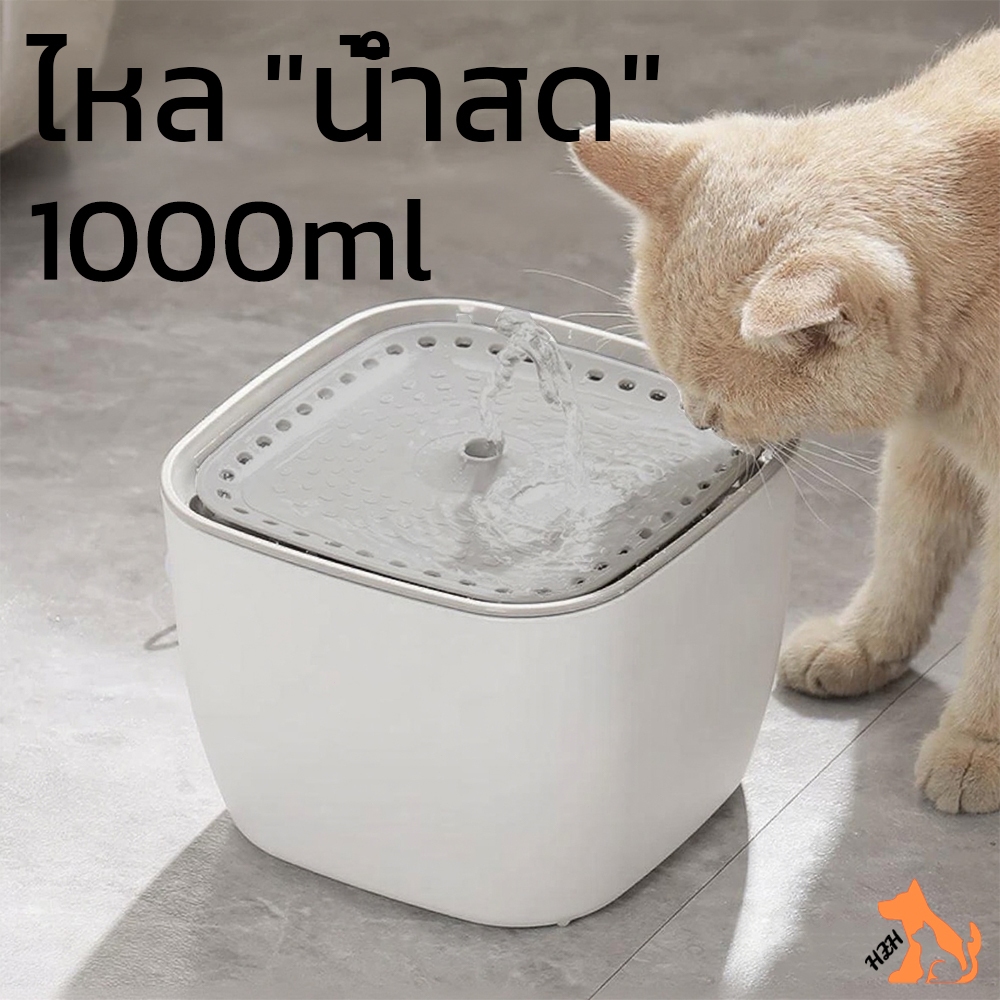 เครื่องกรองน้ําพุอัตโนมัติ 3 ลิตร สําหรับสัตว์เลี้ยง แมว 1 ชิ้น #Z002