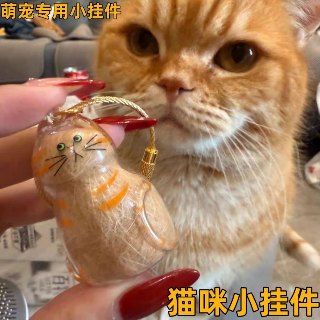 จี้กล่องเก็บขนแมวแบบใสแบบใหม่มีหลากหลายสไตล์ให้เลือกพวงกุญแจจี้แคปซูลเก็บขนแมว พวงกุญแจ - รูปที่ 2