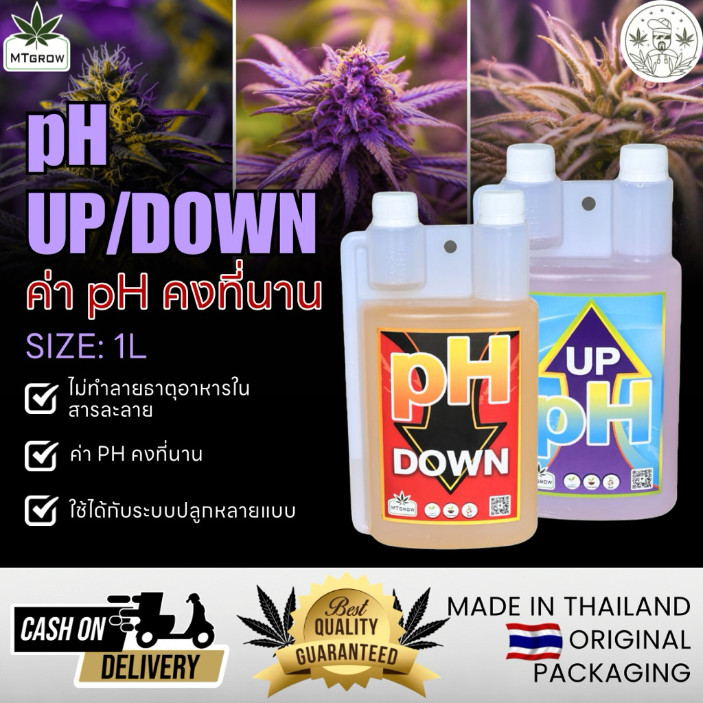 MTgrow pH UP/DOWN ขนาด 1 ลิตร สำหรับปรับค่า pH ในการปลูกพืช ใช้ได้ทั้งปุ๋ยทำใบและทำดอก ควบคุมสภาพน้ำง่าย