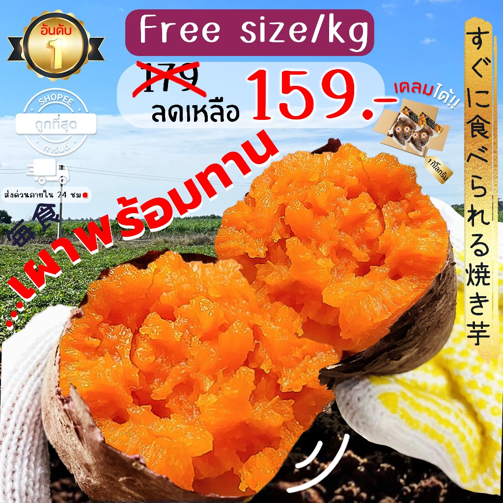 Oishi-Fresh🍠มันหวานญี่ปุ่น🇹🇭ปลูกไทย🇹🇭 โอกินาว่า เผาพร้อมทาน เนื้อส้ม นุ่ม หอม หวาน ละมุน จัดส่ง 24 ช