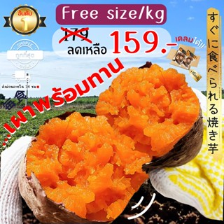 Oishi-Fresh🍠มันหวานญี่ปุ่น🇹🇭ปลูกไทย🇹🇭 โอกินาว่า เผาพร้อมทาน …