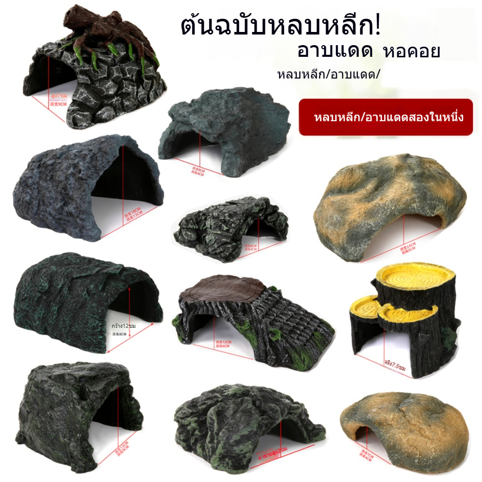 Landscape Setting for Tortoise Cave  and  Reptile Tank Escape Cave