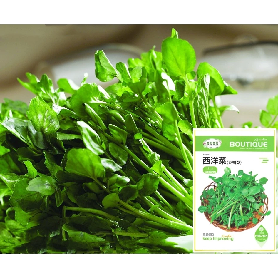 เมล็ดวอเตอร์เครสแท้ (1,000+เมล็ด) ผักน้ำเบตง Watercress***ไม่ใช่ผักเป็ดญี่ปุ่น***