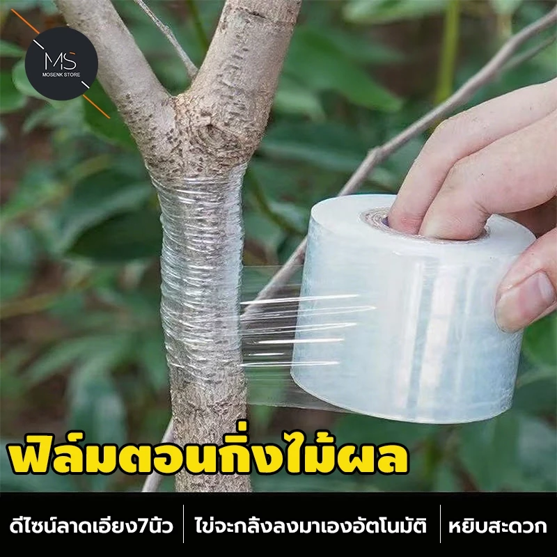 เทปพันกิ่งไม้ เทปพันตอนกิ่ง พลาสติกทาบกิ่ง ฟิล์มยืดติดตาต้นไม้