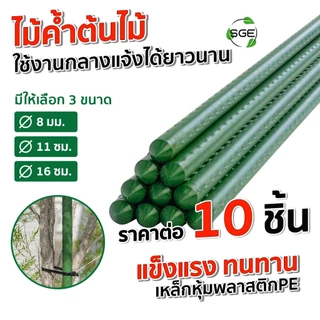 SGE เสาค้ำต้นไม้ ไม้ค้ำต้นไม้ ไม้ค้ำยันต้นไม้ รุ่น GSP ท่อเหล็กเคลือบ กันน้ำ กันสนิม แพ็ค 10 ชิ้น