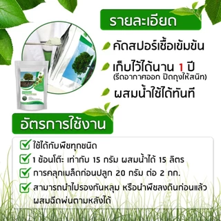 ซุปเปอร์ ไตรโคเดอร์ม่า 1 ซอง 500 กรัม ปลอดภัย 100% พร้อมส่ง ตรา เทพมงคล