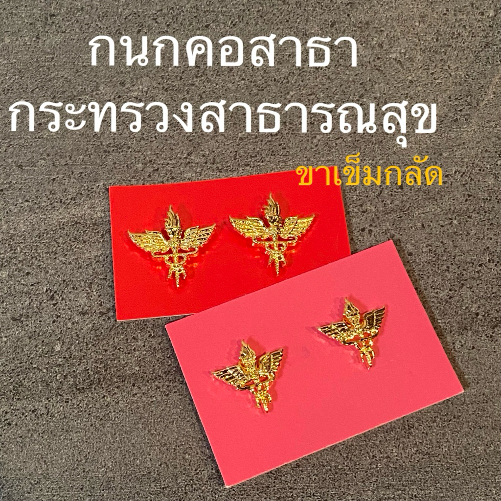 กนกคอสาธารณสุข เข็มติดปกคอเสื้อ เครื่องหมายข้าราชการ ขาเข็มกลัด