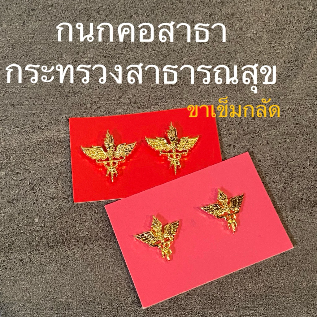 กนกคอสาธารณสุข เข็มติดปกคอเสื้อ เครื่องหมายข้าราชการ ขาเข็มกลัด