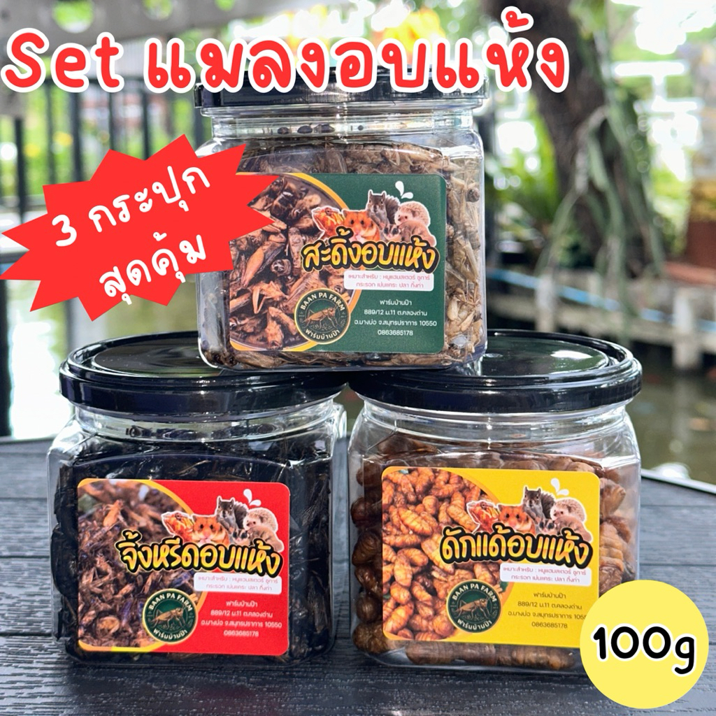 🔥SETแมลงอบแห้ง 3กระปุกสุดคุ้ม🔥