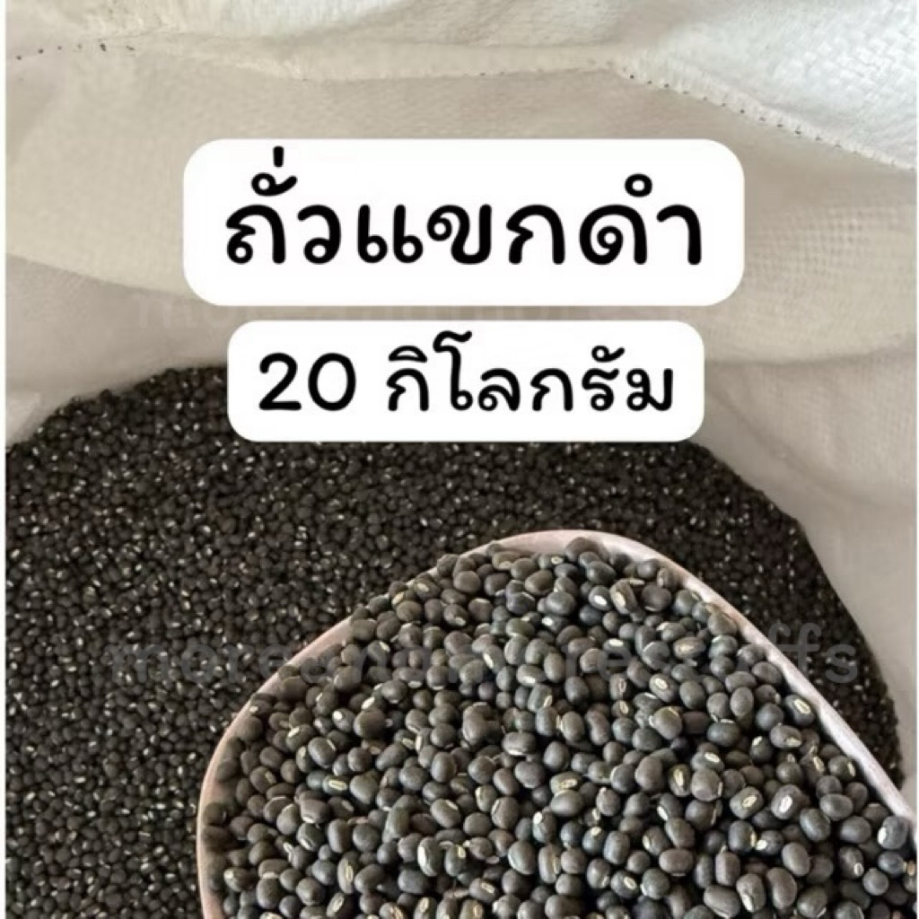 ถั่วแขกดำ ถั่วแขกเพาะงอก (20 กิโลกรัม) ถั่วดำ ถั่วเพาะงอก