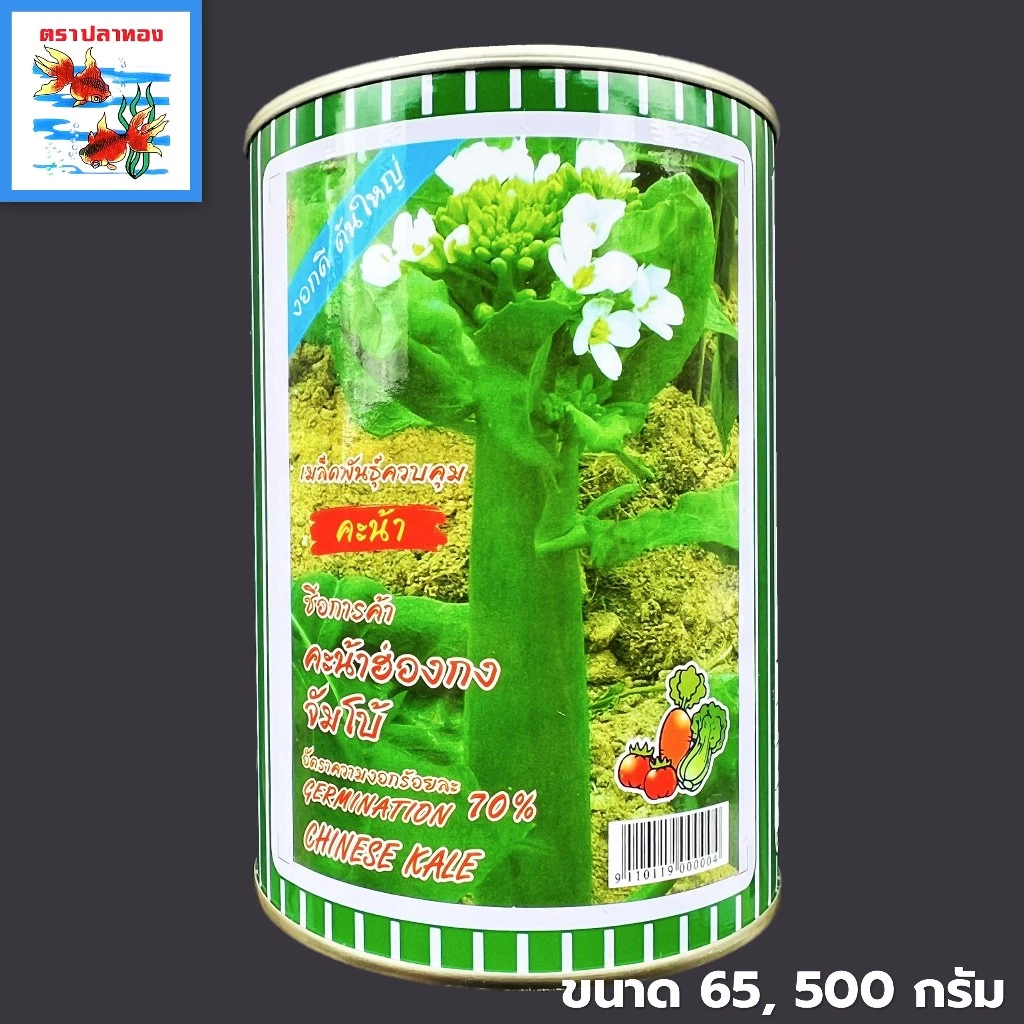 เมล็ดคะน้าฮ่องกง จัมโบ้ คะน้าหวาน กระป๋อง ขนาด 65, 500 กรัม ตราปลาทอง พันธุ์ คะน้าฮ่องกงจัมโบ้