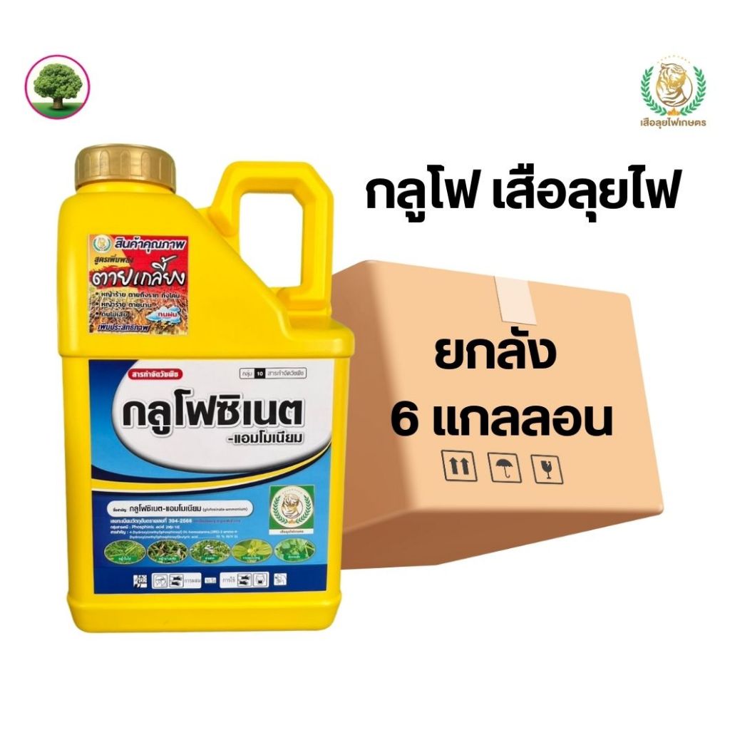 กลูโฟซิเนตเสือลุยไฟ สีเหลือง (น้ำสีทอง) ยกลัง 6แกลลอน กำจัดได้ทั้งหญ้าใบแคบและหญ้าใบกว้าง