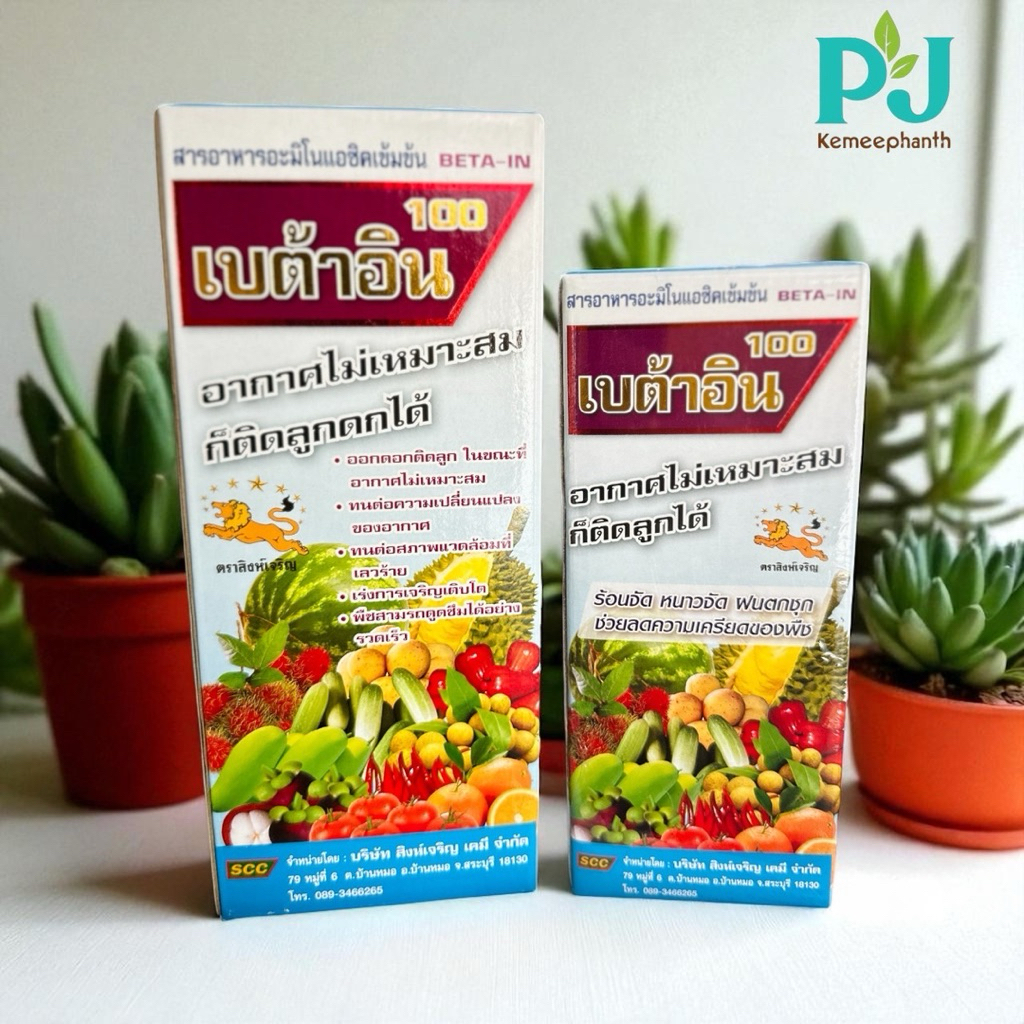 เบต้าอิน #สารอาหารพืช #ปรับสภาพอากาศที่ไม่เหมาะสมให้พืชติดดอกดกได้ สารอาหารอะมิโนแซิคเข้มข้น